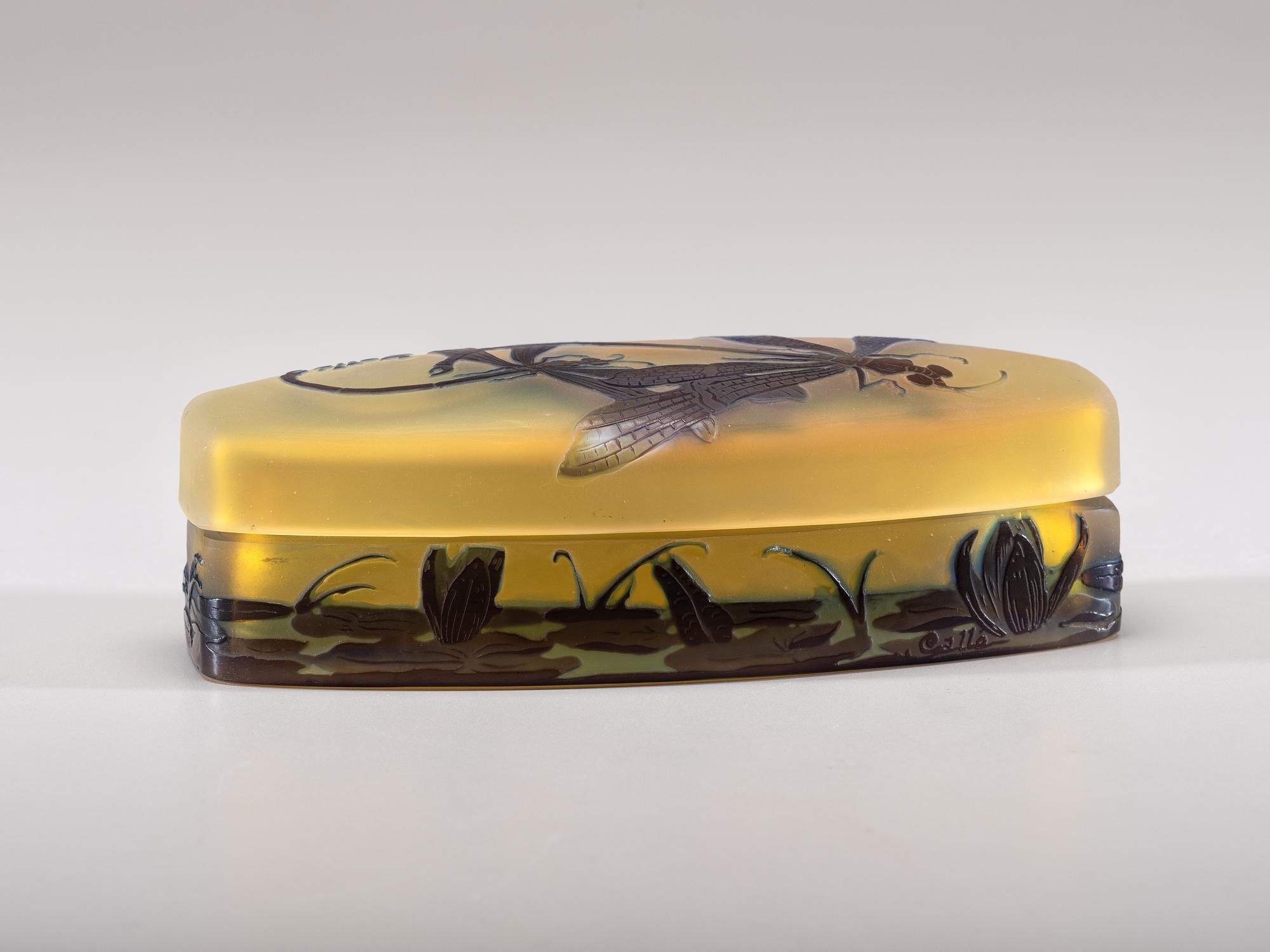 Dragonfly Box