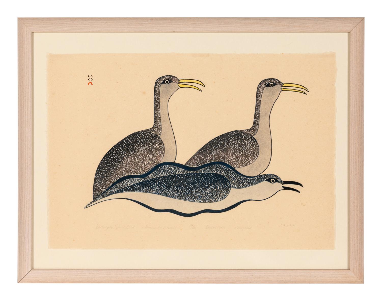 Sailing on Spirit Bird