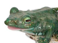 A Pair of Large Glazed Ceramic Frogs