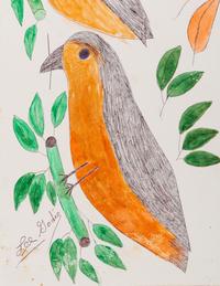 Robins