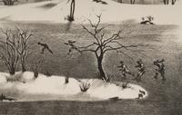 Skaters Island