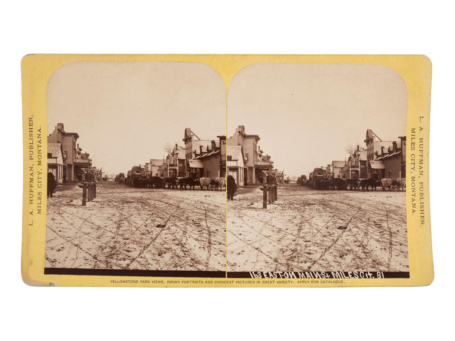 [WESTERN AMERICANA]. Stereoview of a bull train. Miles City, MT: L.A. Huffman, 1881.
