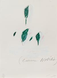 Natural History Part II: Some Trees of Italy (complete portfolio of 8)