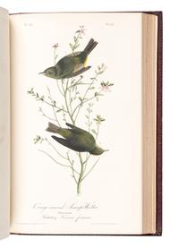 AUDUBON, John James (1785-1851). The Birds of America, from Drawings Made in the United States and their Territories . New York: J.J. Audubon; Philadelphia: J.B. Chevalier, [1839-] 1840-1844.