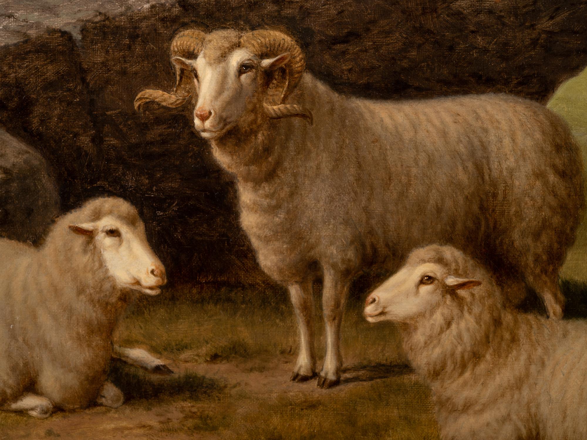 Watching the Flock