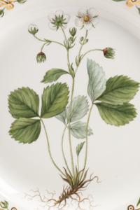 A Set of Twelve Royal Copenhagen Flora Danica Porcelain Reticulated Plates