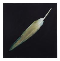 Feather