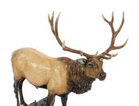 Wapiti, edition 20/27