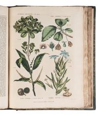 [NATURAL HISTORY]. GREEN, Thomas. The Universal Herbal or, Botanical Medical, and Agricultural Dictionary Containing an Account of All Known Plants in the World...The Second Edition, Revised and Improved. London: Printed at the Caxton Press by Henry Fisher, [1824].