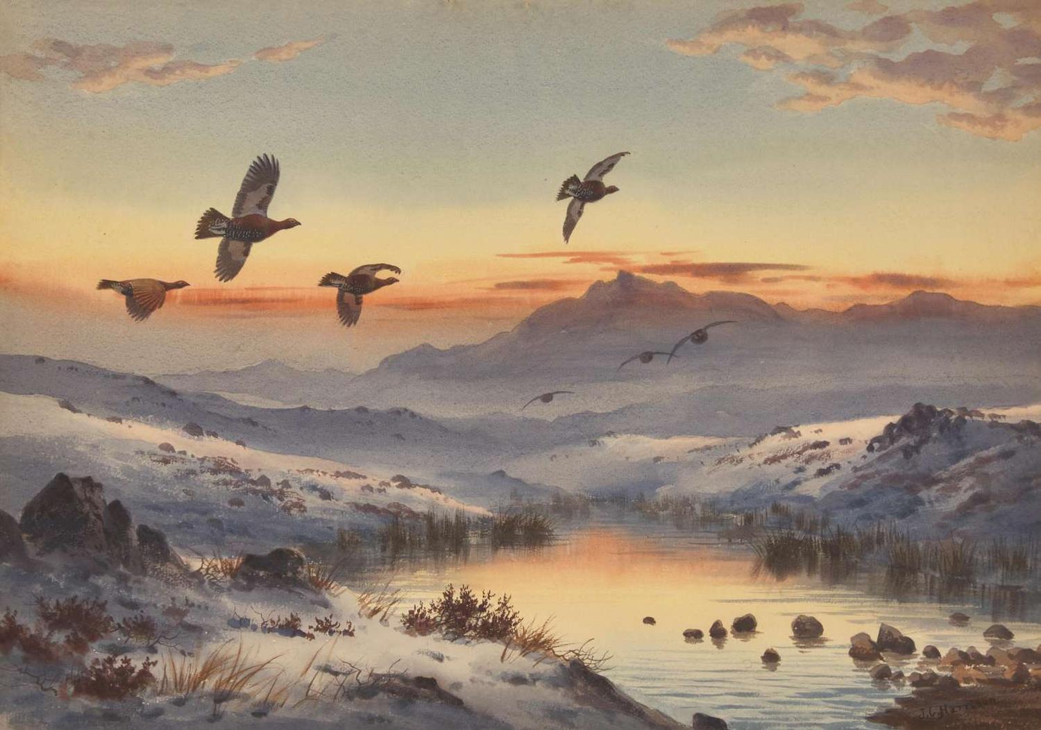 Sunset and Snow