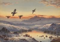 Sunset and Snow