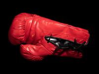 A Muhammad Ali Signed Autographed Everlast Boxing Glove (Left) Sourced Directly from Ali's G.O.A.T. Agency (BAS Beckett Authentication Services Certified),