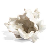 Tulip, 2014