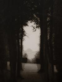 A pair of photographs from the South of England series ( Path and Gate; Trees)