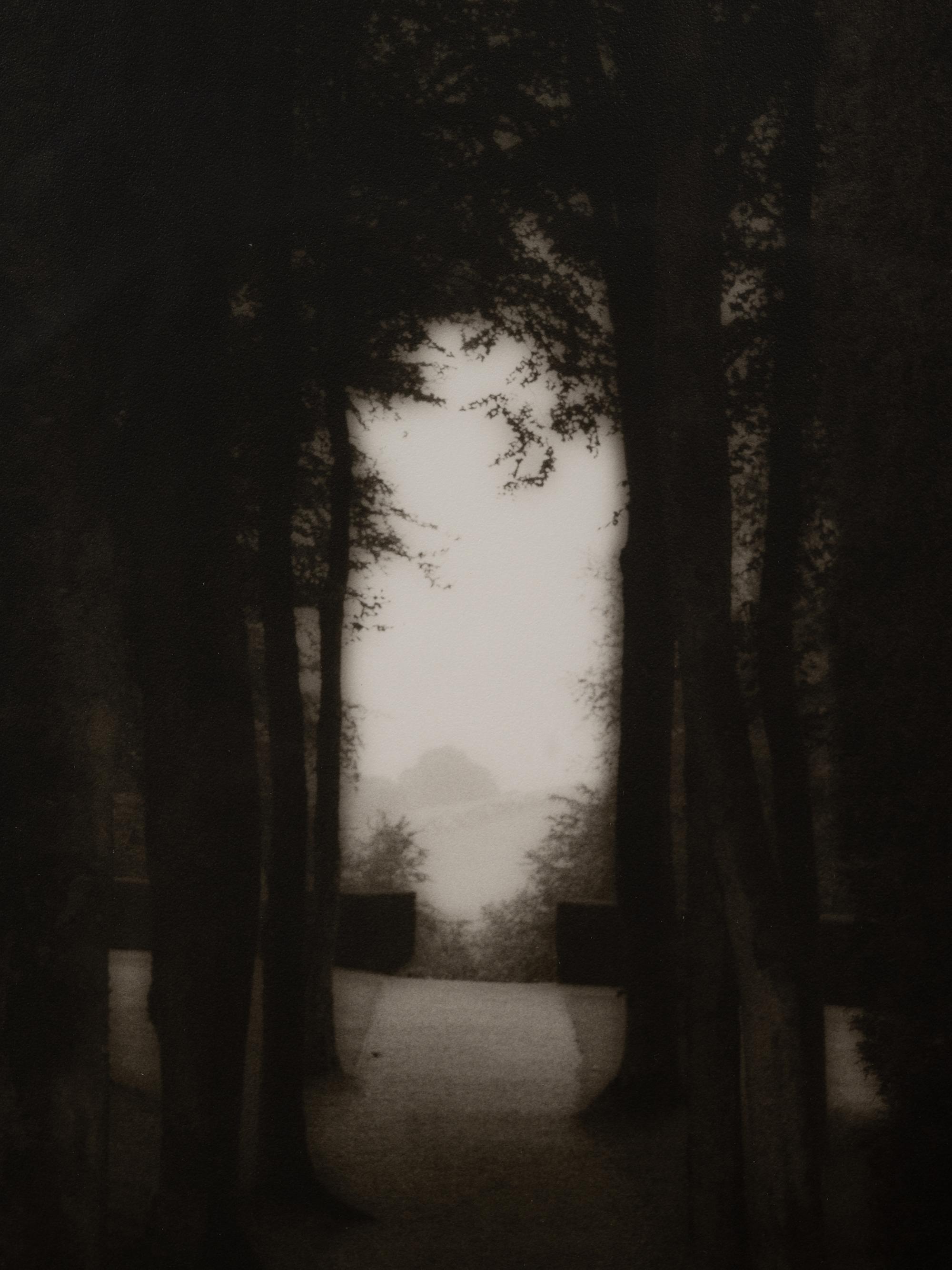 A pair of photographs from the South of England series ( Path and Gate; Trees)