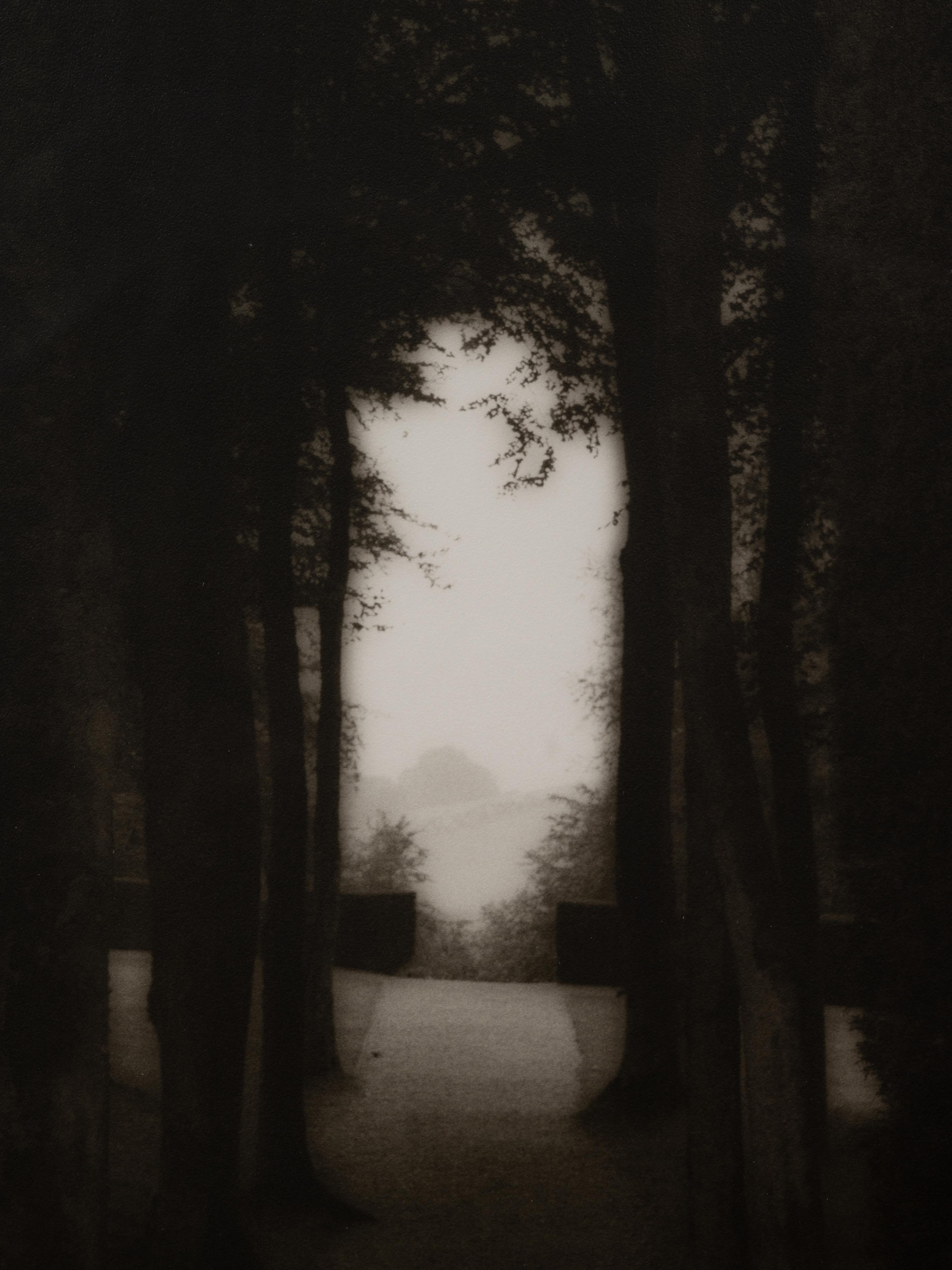 A pair of photographs from the South of England series ( Path and Gate; Trees)