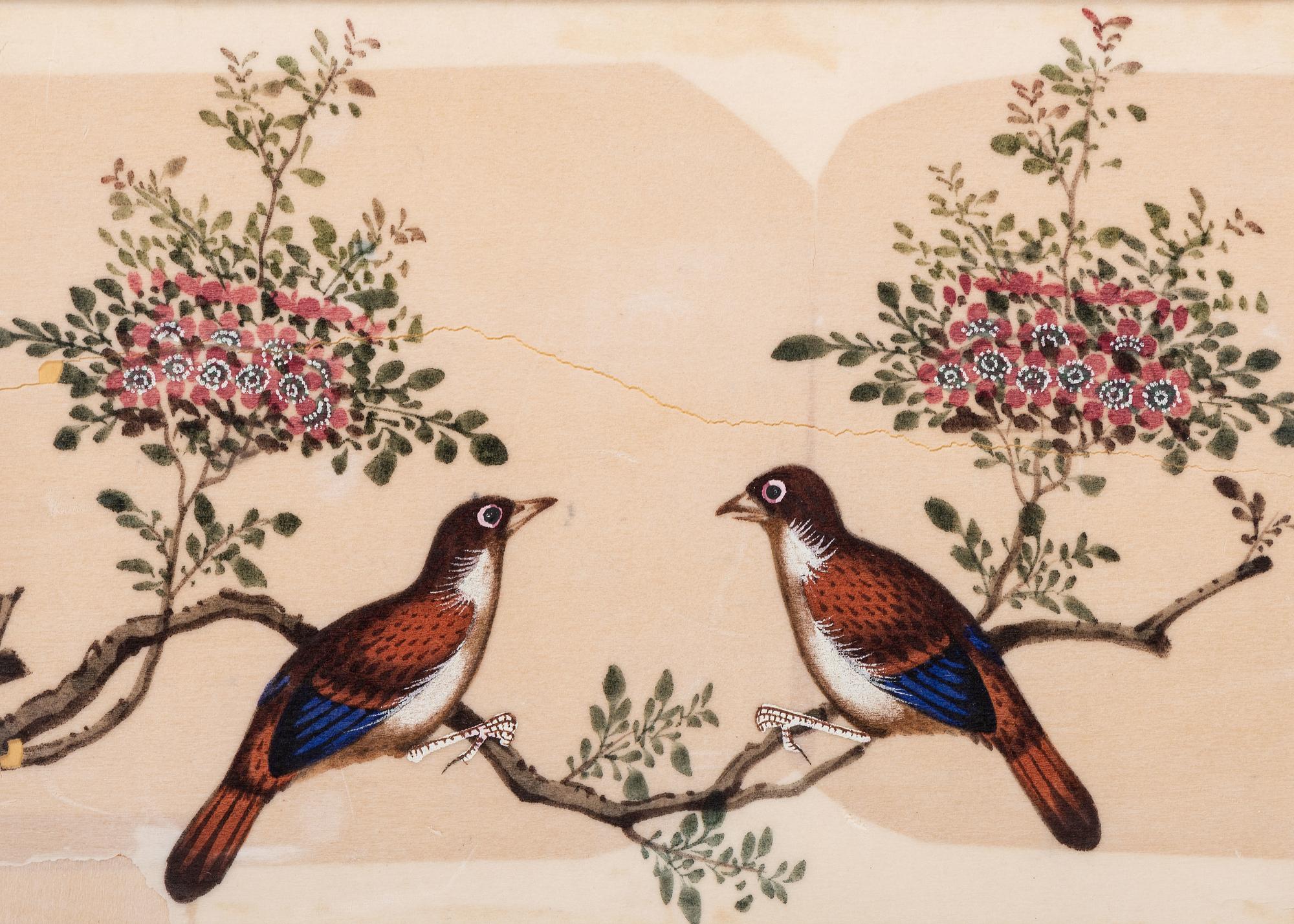Seven Chinese Export Pith Paintings of Perched Birds and Flowers