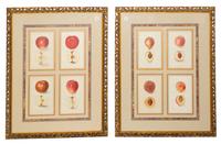 A Set of Four Framed Prints, after Passmore 30 1/4 x 24 1/4 inches. — EARLY 20TH CENTURY