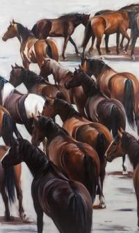 Horses