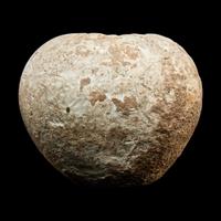 An Egyptian Hard Hand Stone Pestle and Mace Head