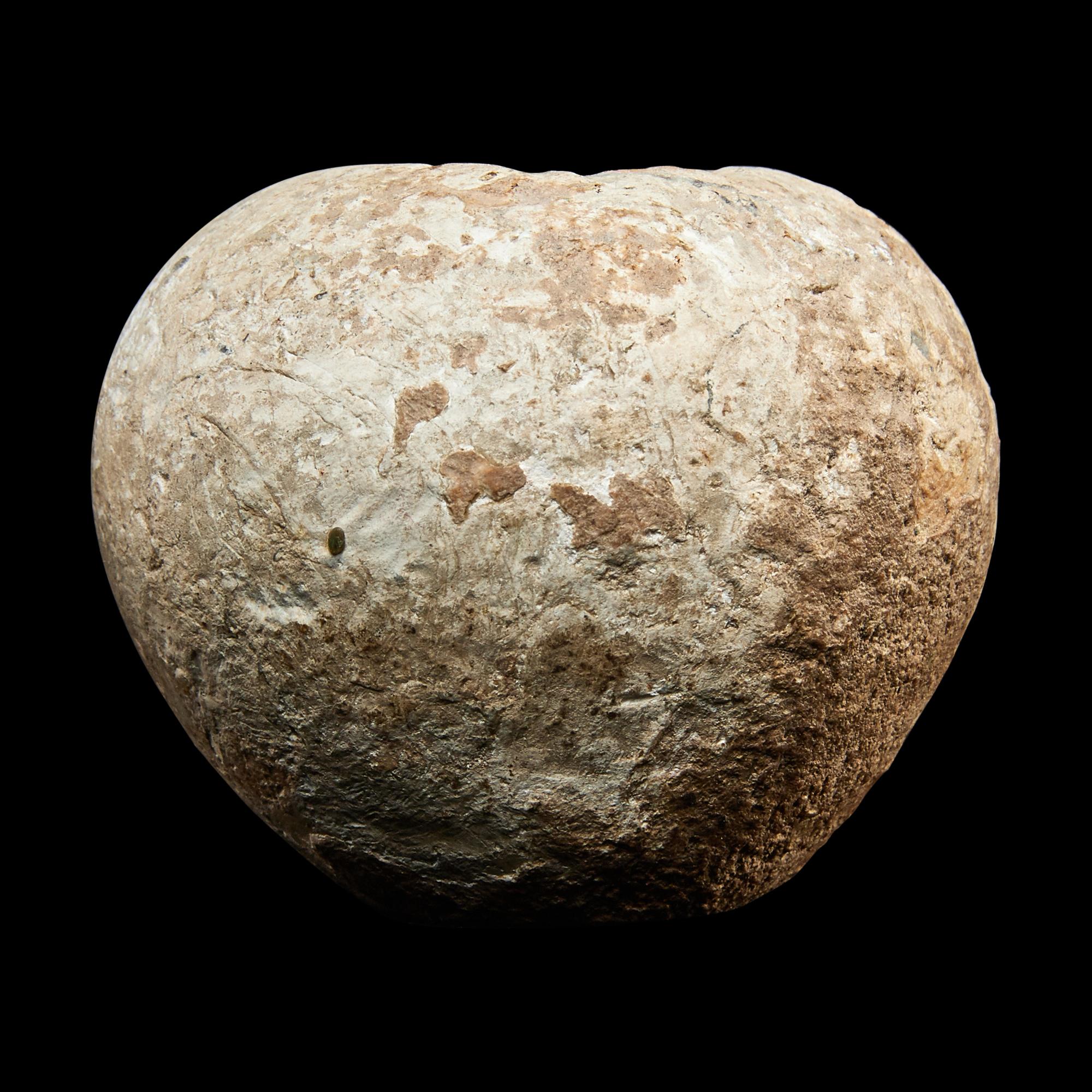 An Egyptian Hard Hand Stone Pestle and Mace Head
