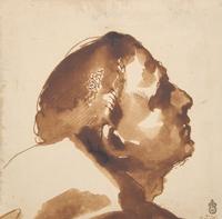 The Head of a Man in Profile, Looking Up