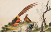 A Set of Twelve Chinese Export Watercolor and Pith Paintings