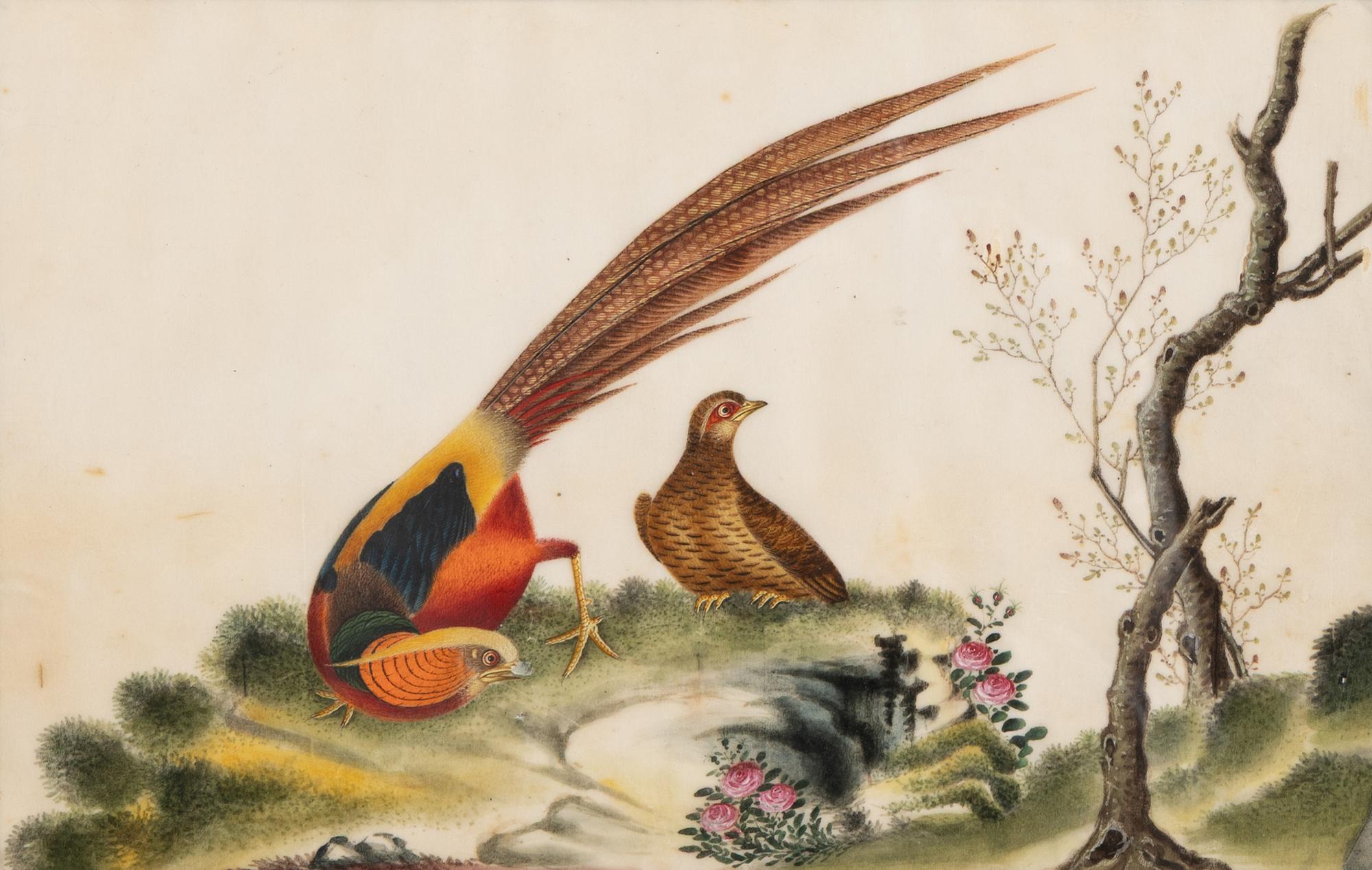 A Set of Twelve Chinese Export Watercolor and Pith Paintings