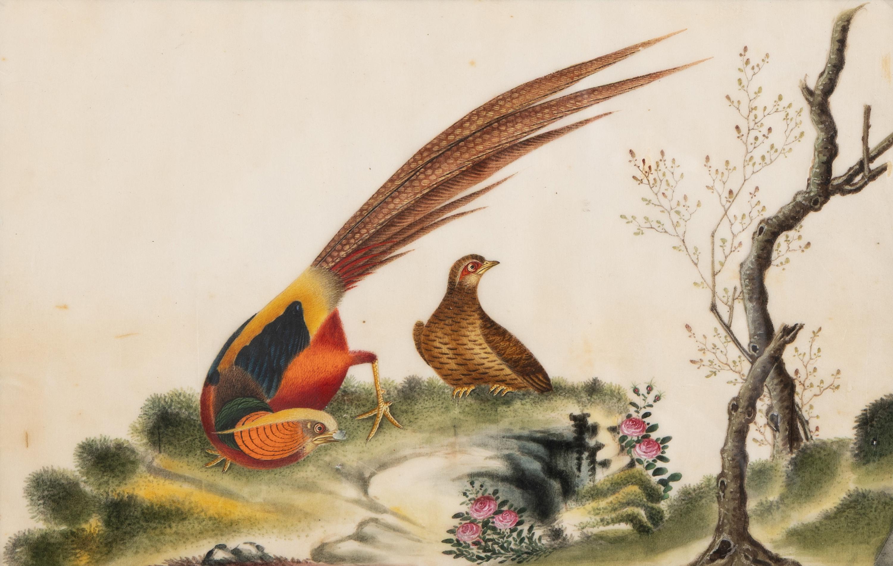 A Set of Twelve Chinese Export Watercolor and Pith Paintings