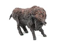 Toro