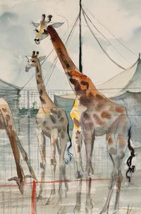 Circus Backlot with Giraffes, Sarasota, Florida