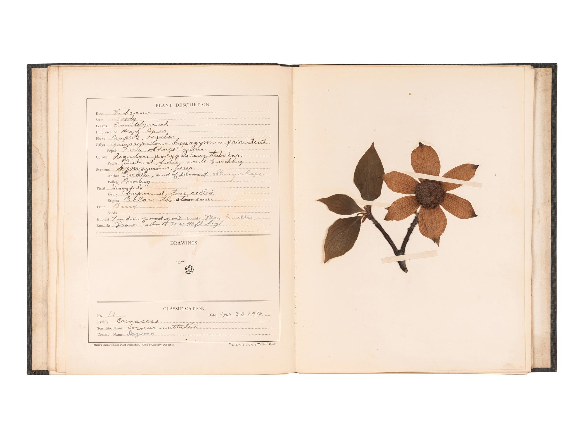 [SPECIMEN ALBUMS]. A group of albums with samples collected in the United States, comprising: