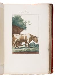 [Natural History]. Manuel, Blaise Etienne. -- Sève, Jacques Eustache de (d. 1829), illustrator. Nouveau Muséum d'Histoire Naturelle... Dessinées par M. Desève, et autres habiles Artistes... Tome Premier . Paris: Chez F. Dufart, 1806.