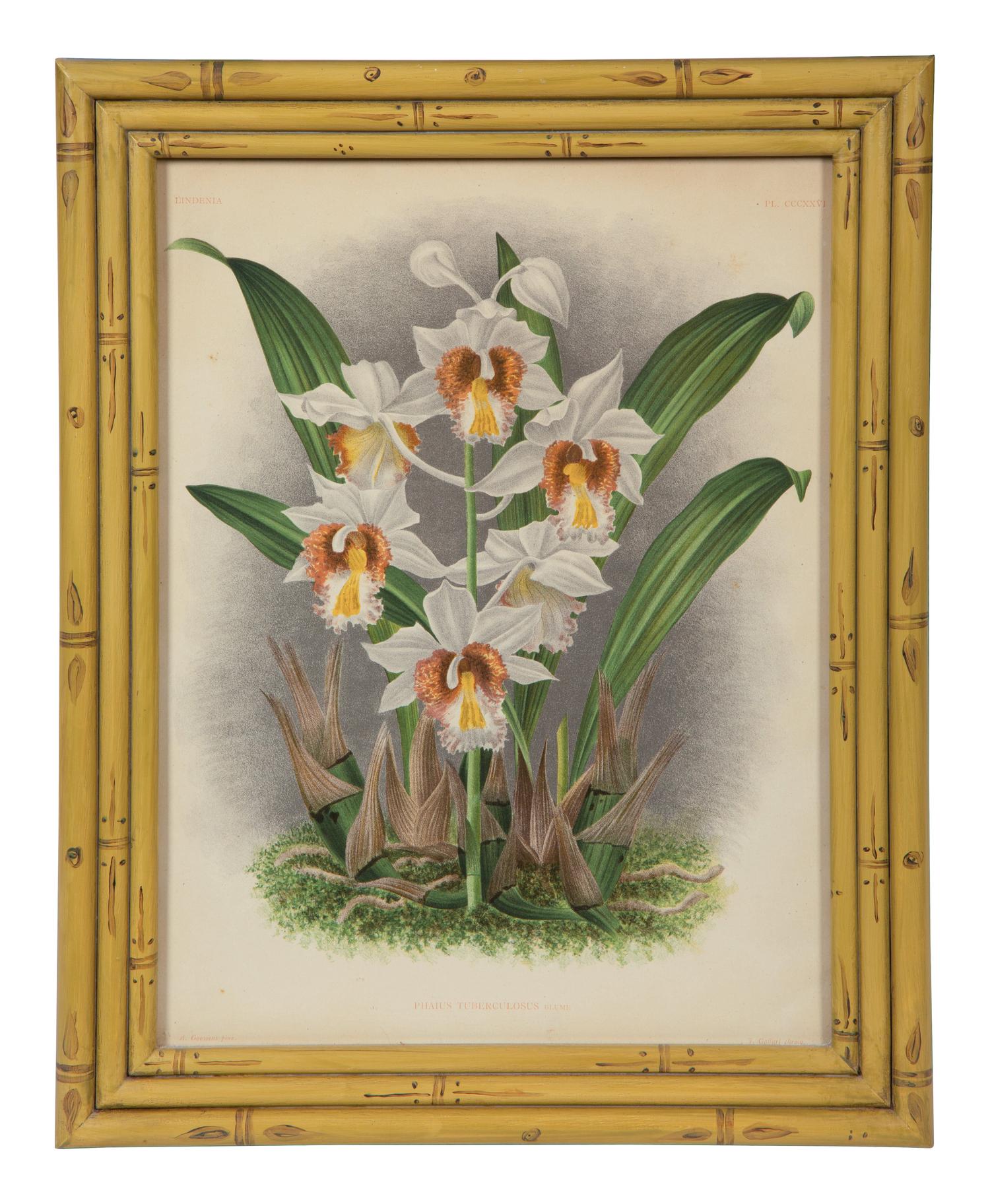 A Set of Twelve Framed Botanical Lithographs
