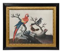 A Set of Six Irish George III Embossed Bird Pictures by Samuel Dixon