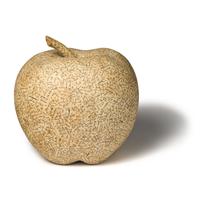 Jiri Kolář (Czech, 1914-2002) — Old Apple, 1965
