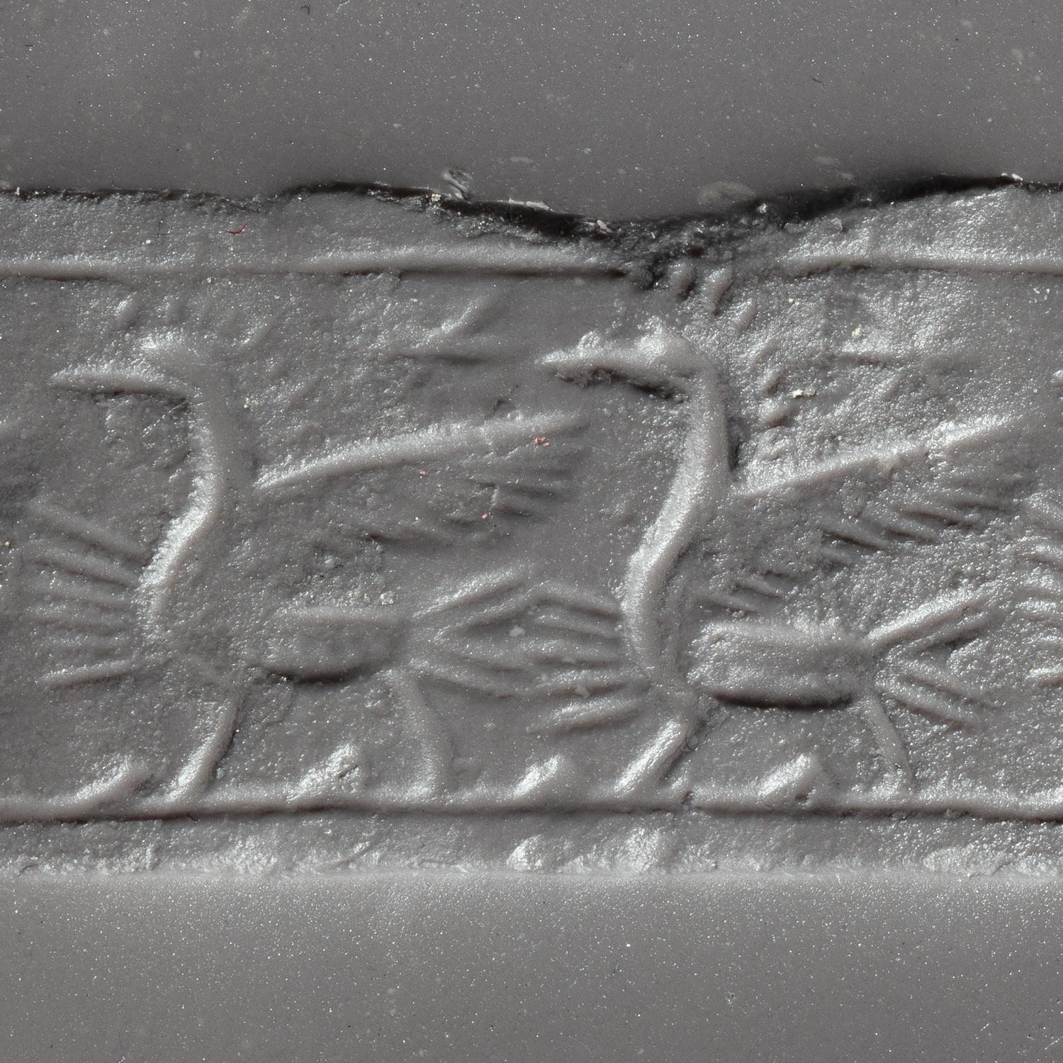 Nine Near Eastern Stone Cylinder Seals