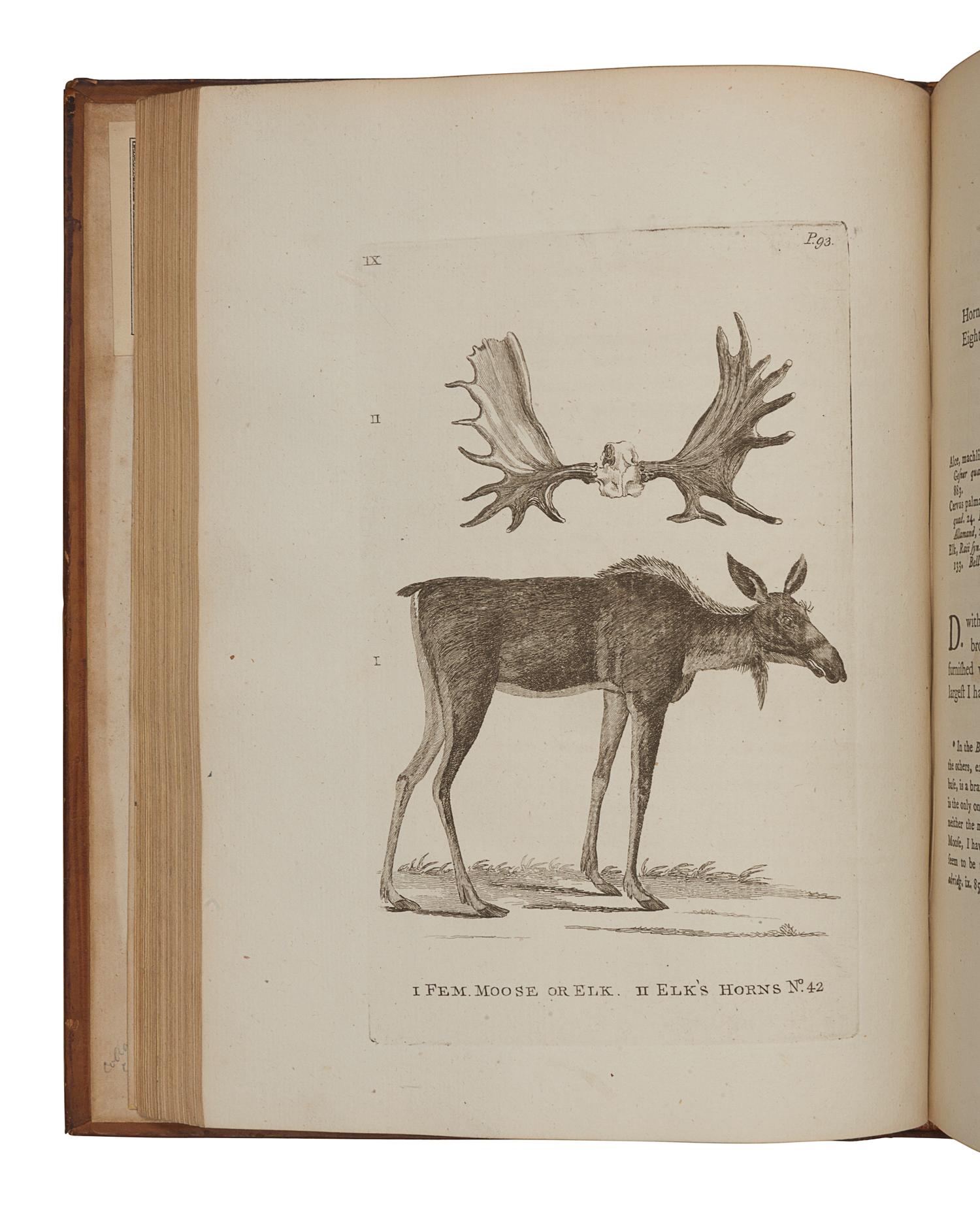 PENNANT, Thomas (1726-1798). History of Quadrupeds . London: B. White, 1781.