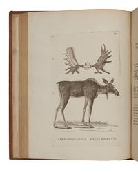 PENNANT, Thomas (1726-1798). History of Quadrupeds . London: B. White, 1781.