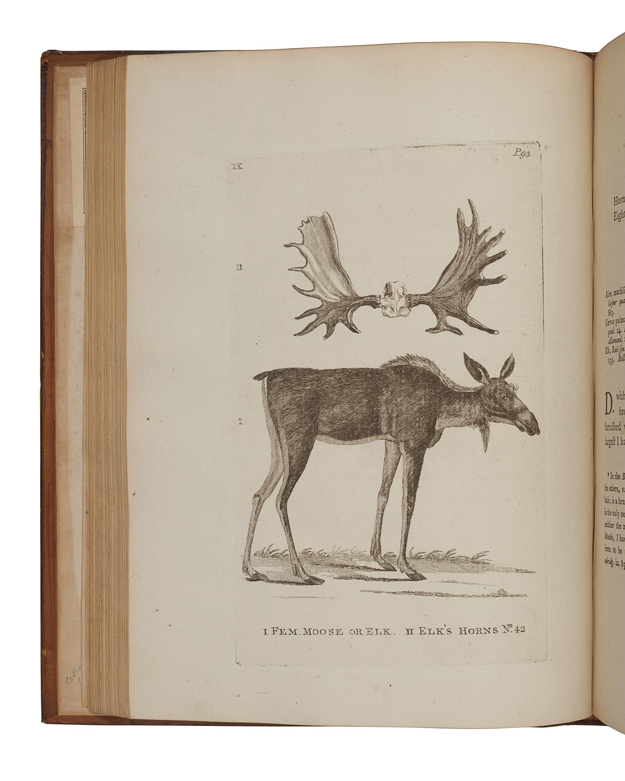 PENNANT, Thomas (1726-1798). History of Quadrupeds . London: B. White, 1781.