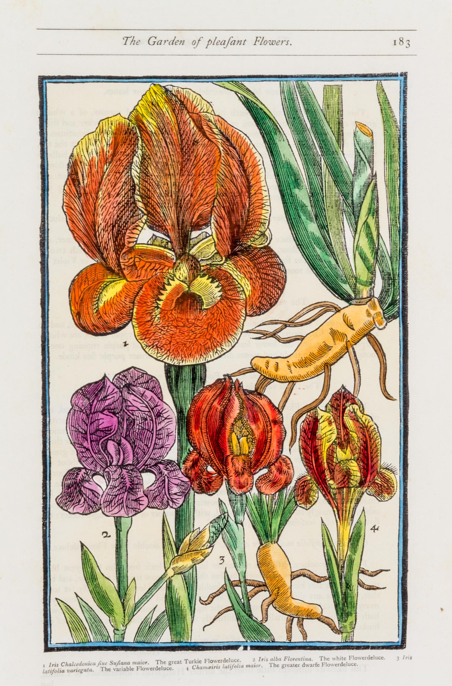 PARKINSON, JOHN. Group of eight handcolored facsimile etchings. (1910).