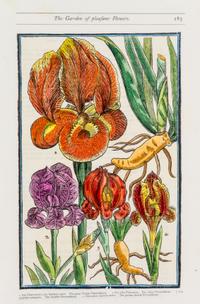 PARKINSON, JOHN. Group of eight handcolored facsimile etchings. (1910).