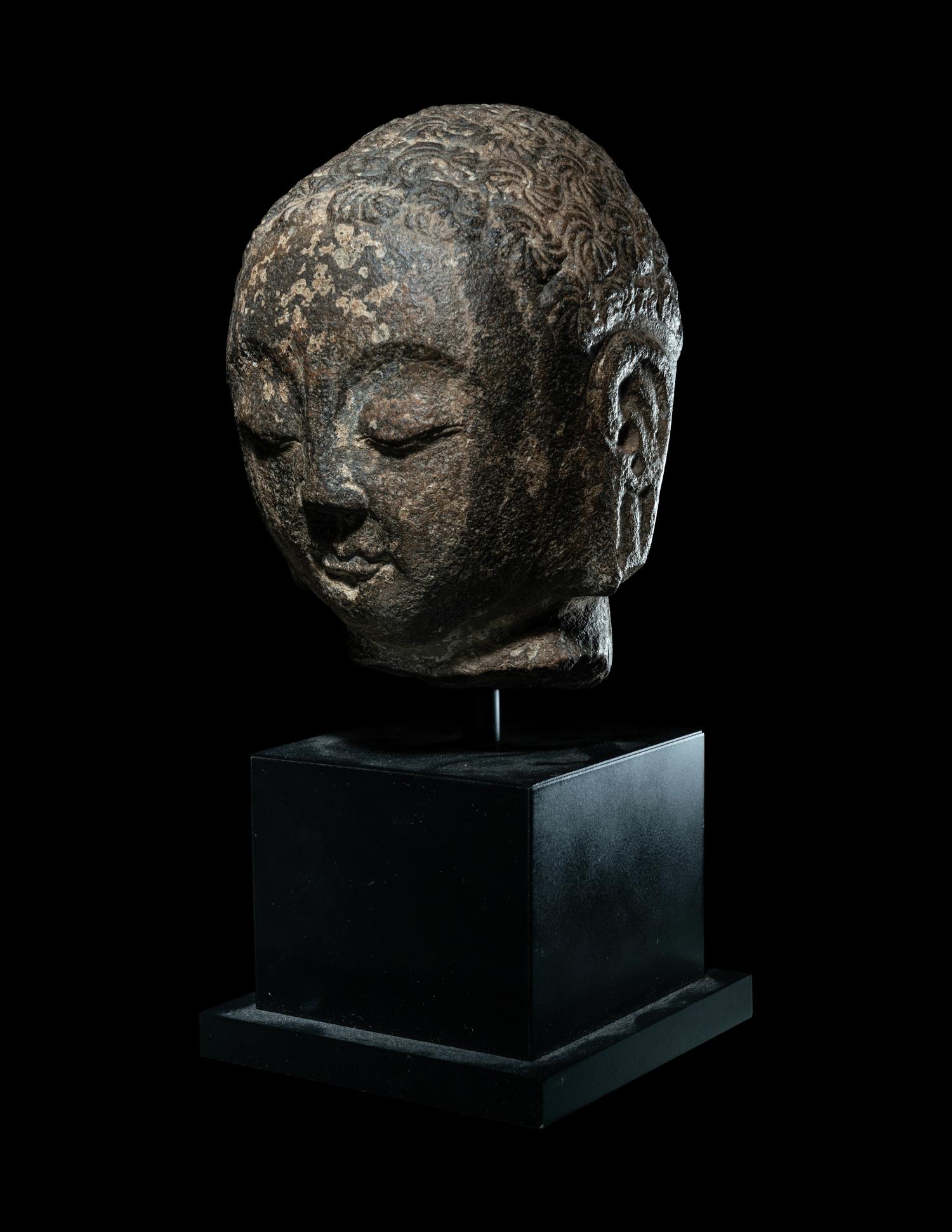 A Limestone Head of Buddha