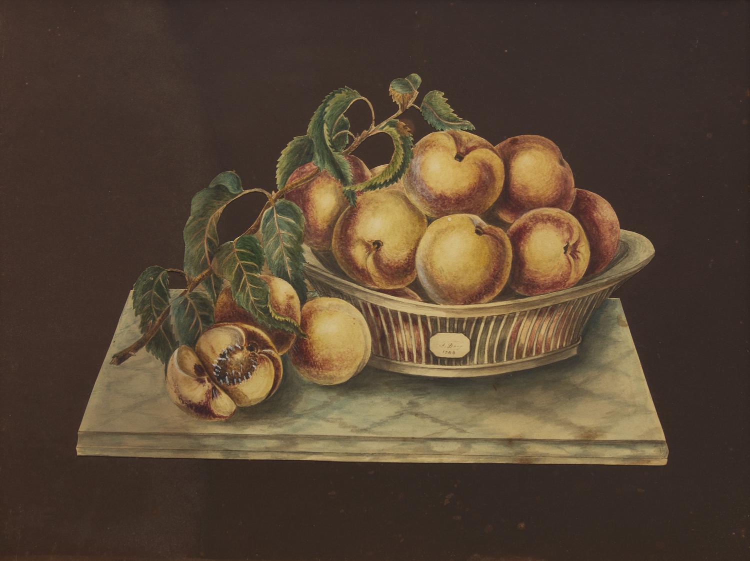 American School 19th Century, A Pair of Cut-Out Still Life Drawings: Bowl of Peaches and Basket of Apples