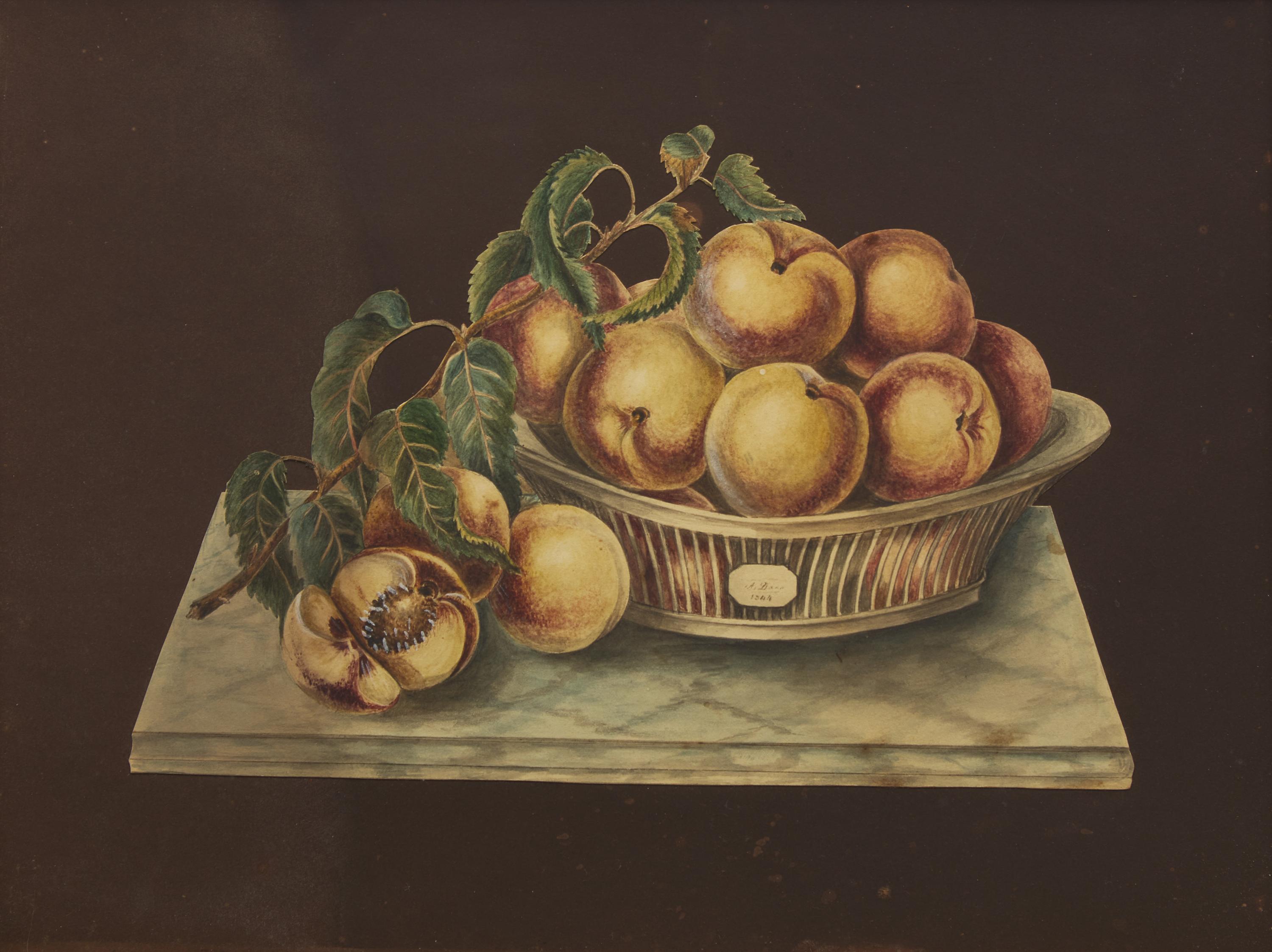 American School 19th Century, A Pair of Cut-Out Still Life Drawings: Bowl of Peaches and Basket of Apples