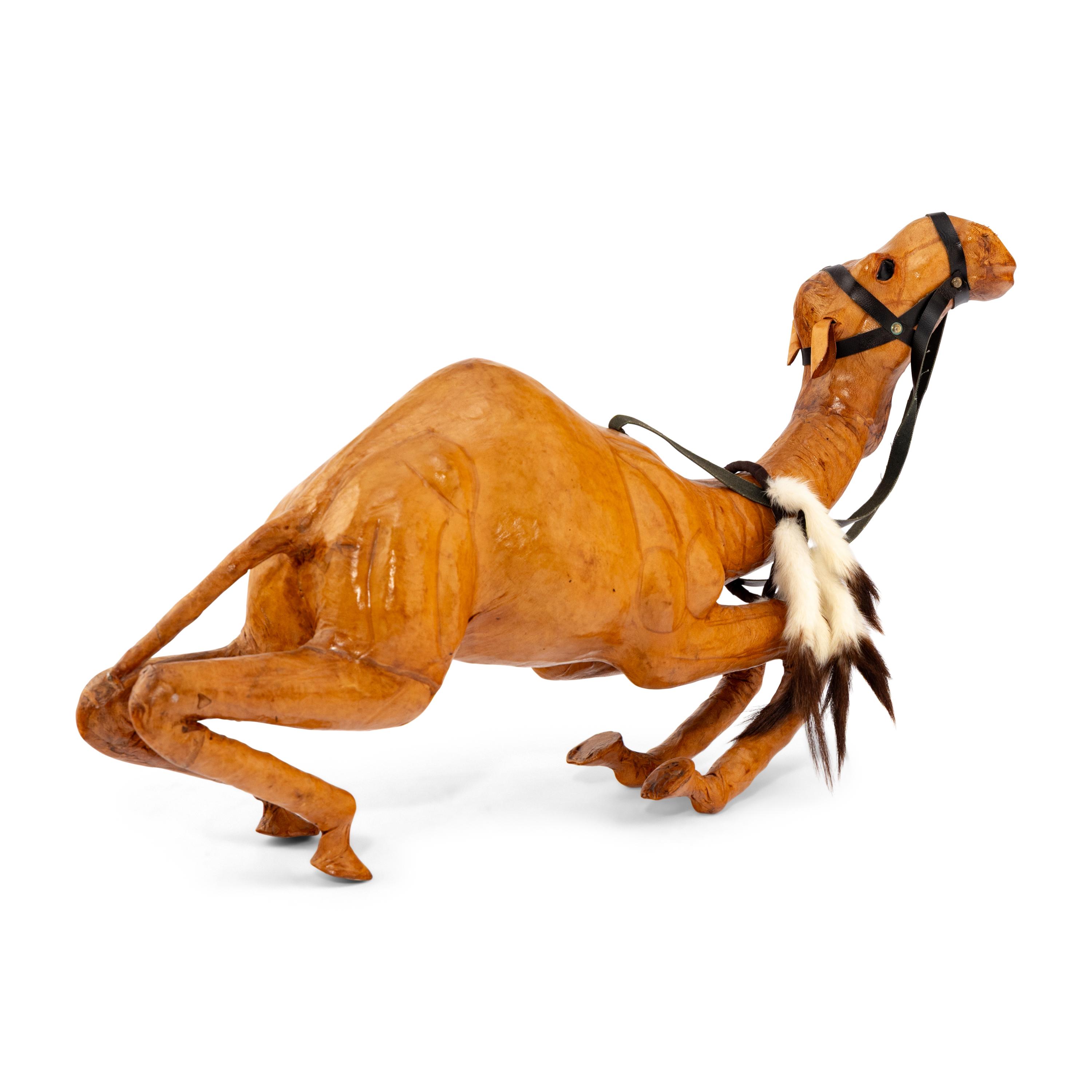 A Leather-Clad Camel Model