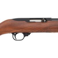 *Ruger 10/22 Carbine