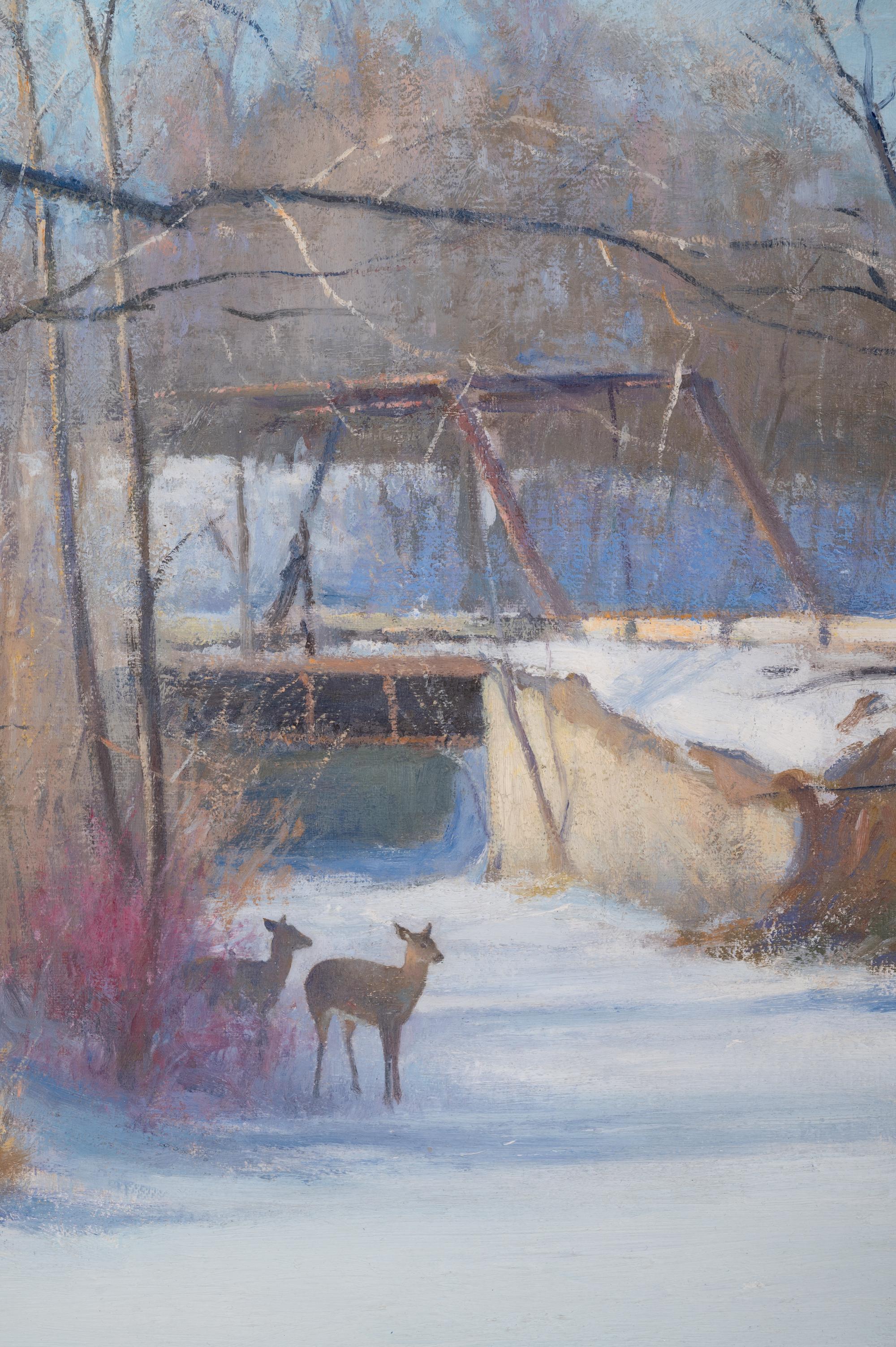 Deer in Snow