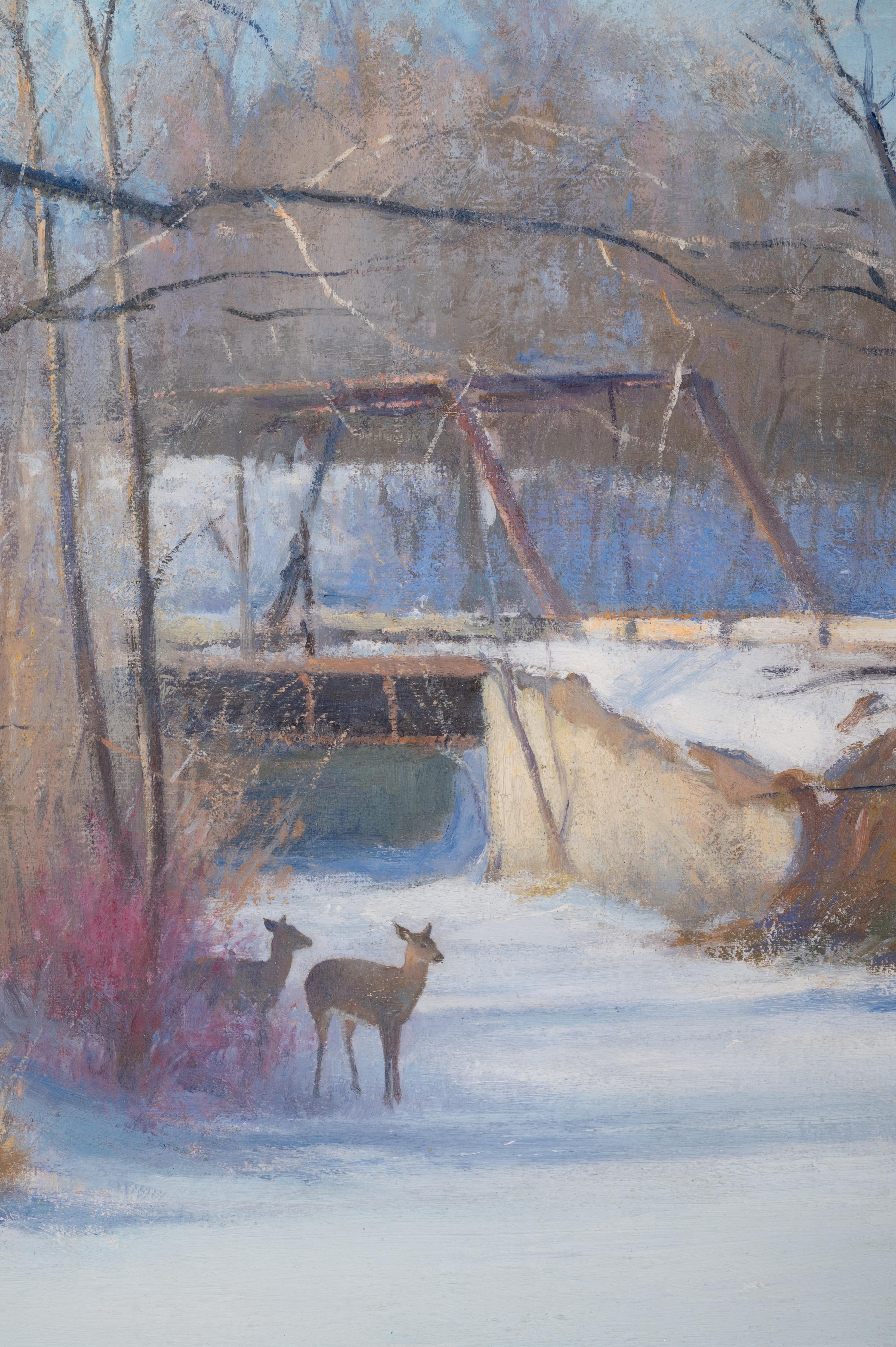 Deer in Snow