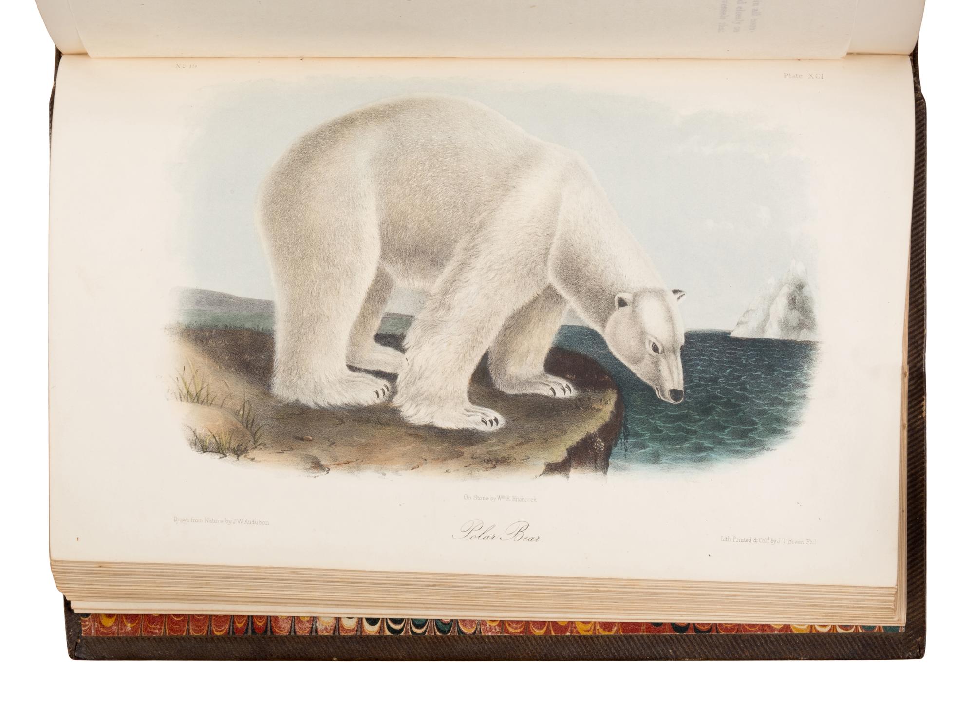 Audubon, John James (1785-1851) and John Bachman (1790-1874). The Quadrupeds of North America . New York: V.G. Audubon, 1849, 1854, 1854.